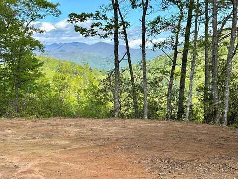 31 & 32 Middle Ridge, Whittier, NC 28789