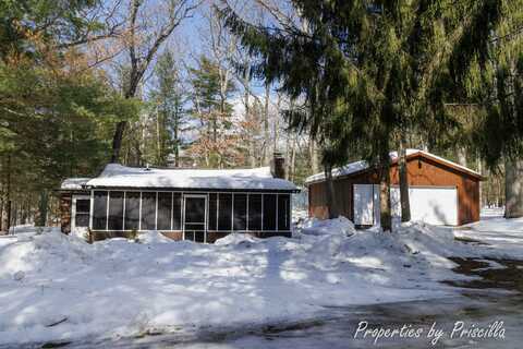 10574 N Turner Road, Irons, MI 49644