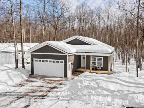 4745 Maplewood Drive, Lake Ann, MI 49650