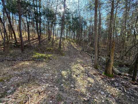 13.5 Acres Buck Horn Road, Dandridge, TN 37725