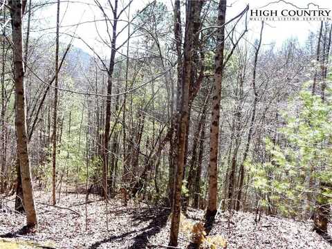 Lot 16 Stepp Ridge Court, Hendersonville, NC 28792