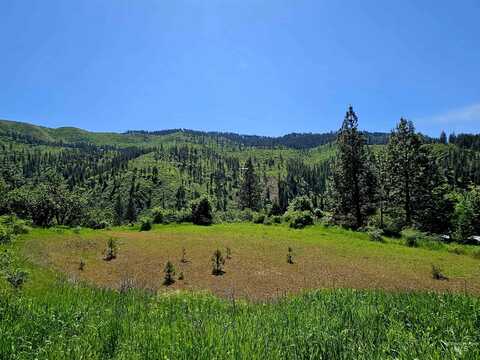 Tbd Adams Rd, Parcel D, Orofino, ID 83544