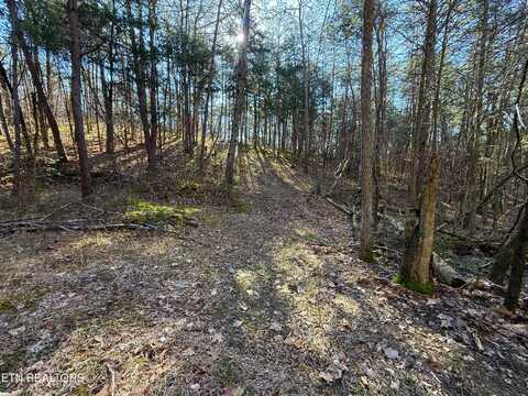 13.5 Acres Buck Horn Rd, Dandridge, TN 37725