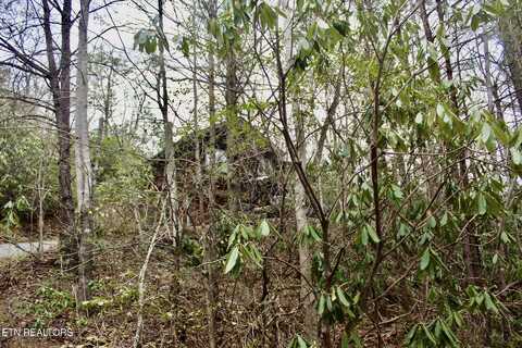 925 Sunshine Tr, Gatlinburg, TN 37738