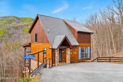 817 Pine Top Lane, Gatlinburg, TN 37738