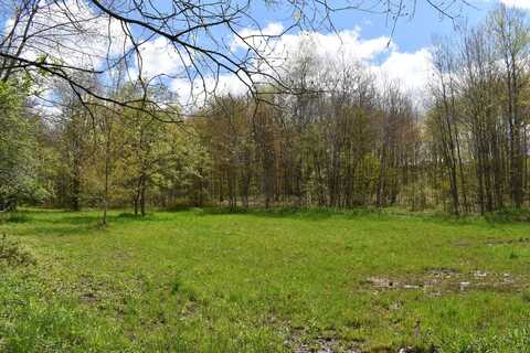 Earl Seaton Road, Randolph, NY 14772