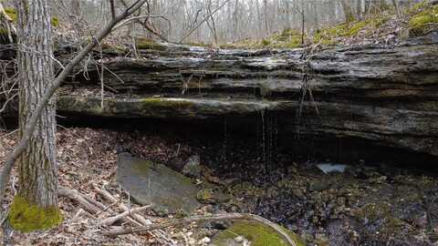0 Squaw Creek Rd, Potosi, MO 63664