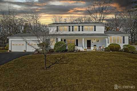 41 Dale Drive, Edison, NJ 08820