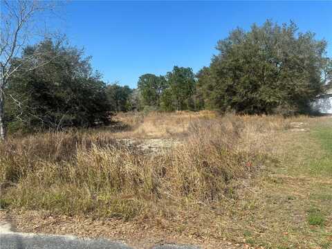 0000 OAK RUN PLACE, OCALA, FL 34472