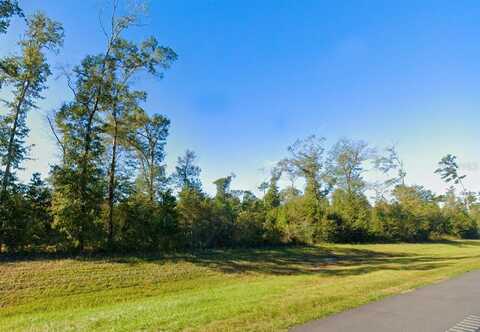 0 HIGHWAY 73, MARIANNA,, FL 32448