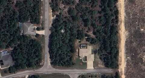 3 FRINGETREE COURT, HOMOSASSA, FL 34446