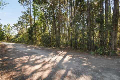 9670 S LOTUS POINT, HOMOSASSA, FL 34448