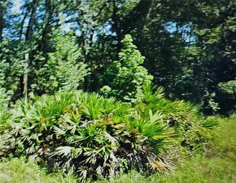 NW 10TH PLACE, OCALA, FL 34482