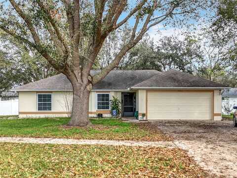 37042 SANDY LANE, GRAND ISLAND, FL 32735