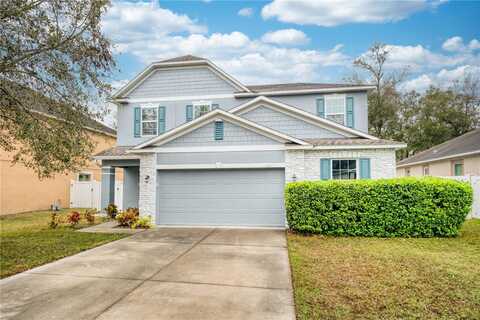 1317 INDEPENDENCE LANE, MOUNT DORA, FL 32757