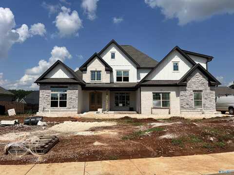 206 Cotton Branch, Meridianville, AL 35759