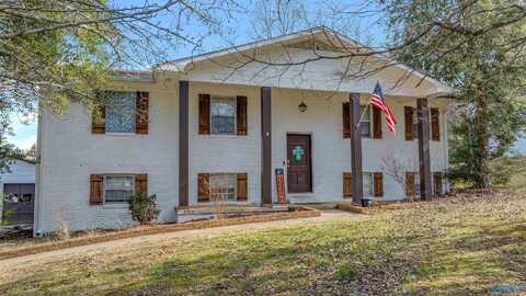 501 35th Street NE, Fort Payne, AL 35967