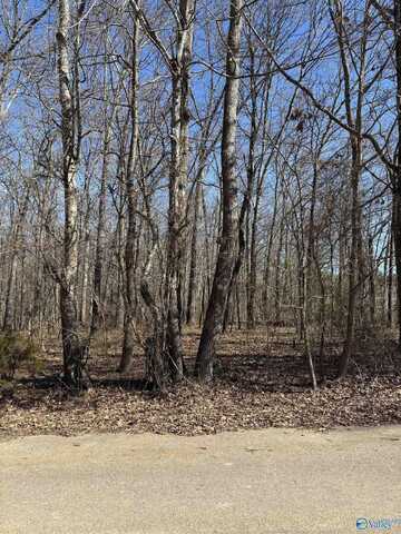 1 Acre Honea Road, Hazel Green, AL 35750