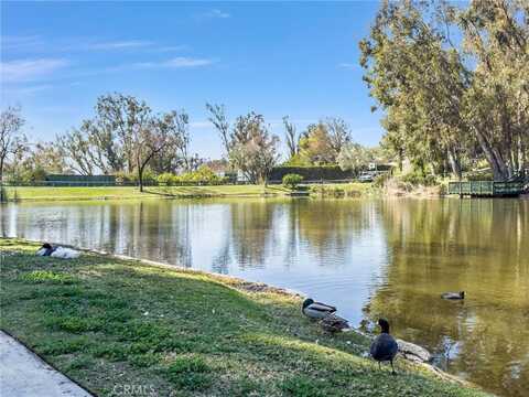 7734 E Broadmoor Trail, Orange, CA 92869