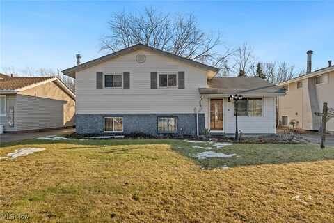 4142 Holl Avenue, Sheffield Lake, OH 44054