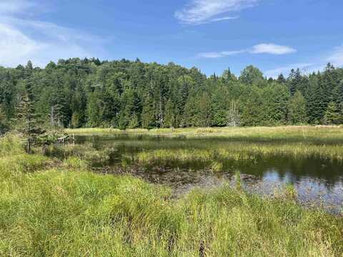 0 Hartwell Pond Road, Albany, VT 05875