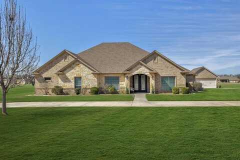 1313 E Scandinavian Court, Granbury, TX 76048