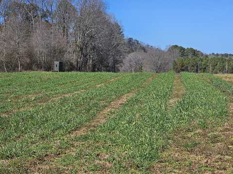 000 Acton Bend Circle, Hayden, AL 35079