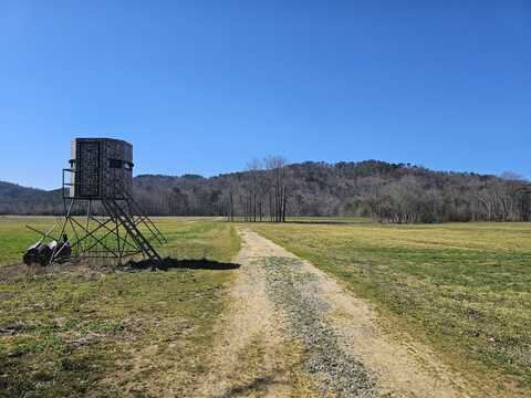 000 Acton Bend Circle, Hayden, AL 35079