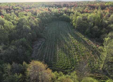 N2060 Meridian Rd, Ogema, WI 54556
