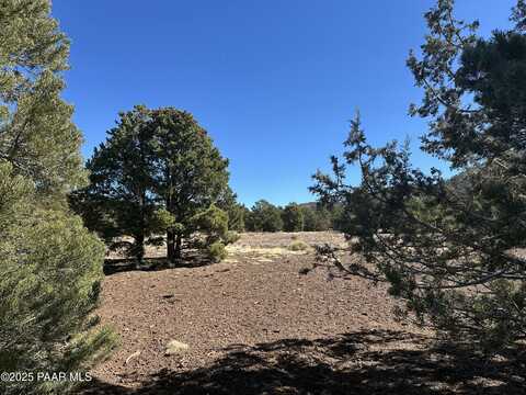 10379 N Overlook Drive, Williams, AZ 86046