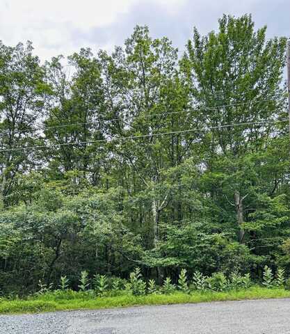 Lot A107 Chippy Circle, Jim Thorpe, PA 18229