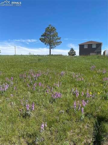 13435 Hodgen Road, Elbert, CO 80106