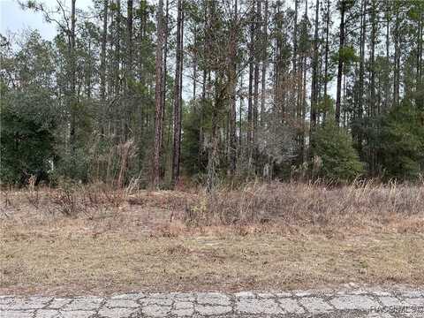 10901 N Robert Dean Way, Citrus Springs, FL 34434