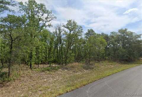 1625 W Swanson Drive, Citrus Springs, FL 34434
