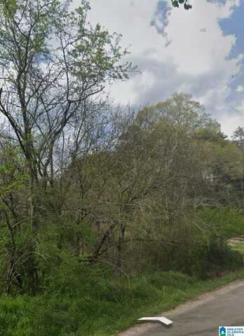5632 RED HOLLOW ROAD, BIRMINGHAM, AL 35215