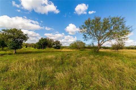 LAKESHORE SUBDIVISION BLOCK 2 LOT 12, Sandia, TX 78383