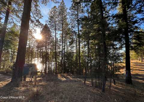 Nna BENEWAH RD., Harrison, ID 83833