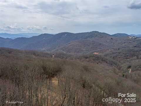 0 Grouse Thicket Lane, Mars Hill, NC 28754