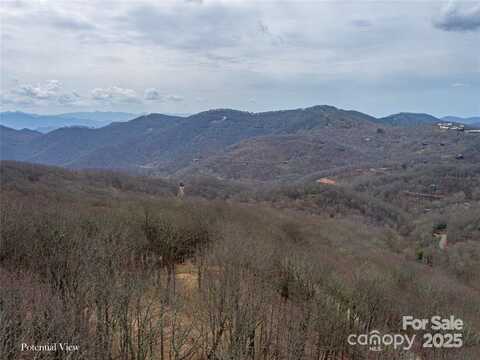 Grouse Thicket Lane lot: 262, Mars Hill, NC 28754