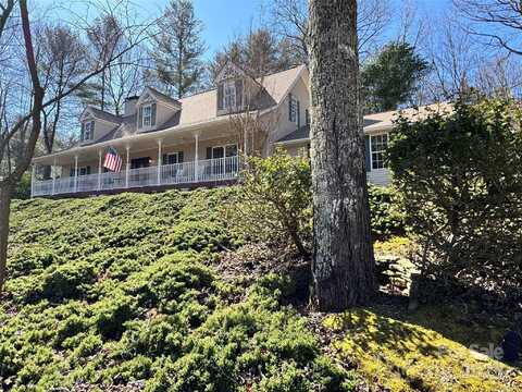 59 Allen Springs Road, Horse Shoe, NC 28742