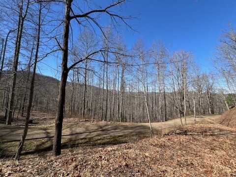 #42 Witch Hazel Dr., Franklin, NC 28734