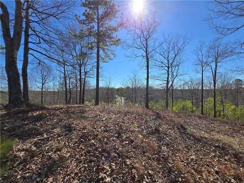 0 Brushy Mountain Road, Rockmart, GA 30153