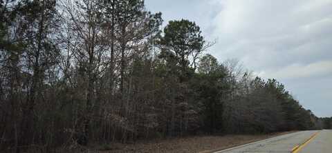 0 HWY 220 TRACT A, Lincolnton, GA 30817