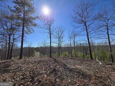 0 Brushy Mountain, Rockmart, GA 30153