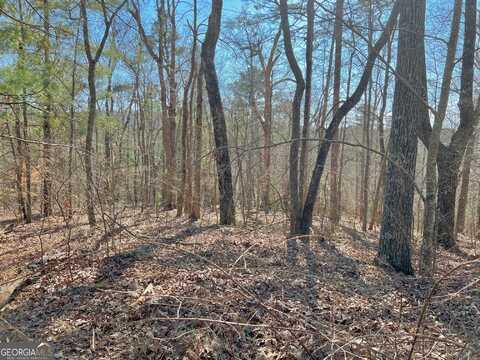 113 Beech Tree, Ellijay, GA 30540