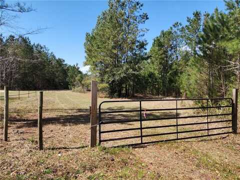 1012 Star Ranch Road, Brunswick, GA 31523