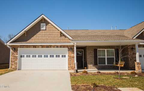 728 Snowflower Circle, Pigeon Forge, TN 37863