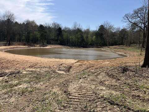 TBD Woodchuck Rd, Pittsburg, TX 75686