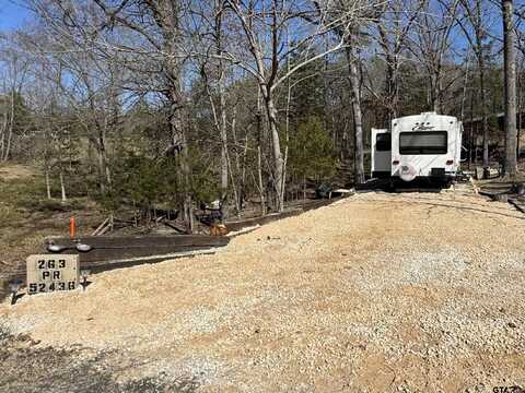 263 Private Road 52436, Pittsburg, TX 75686