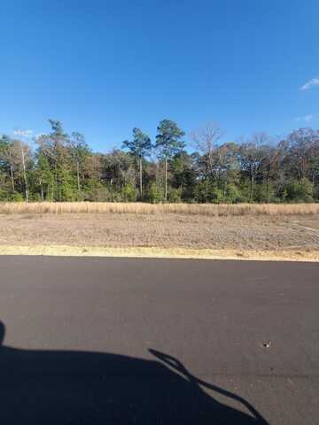 27 Sandhill, Hattiesburg, MS 39402